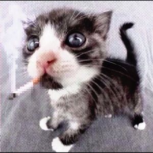 Meet your Posher, Drew